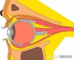 男性缩阳与女性缩阴的秘密