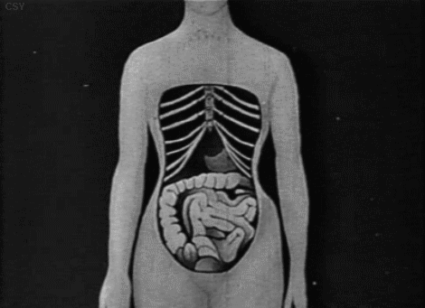 衬托得是丰乳肥臀间的风韵     为此,她们不惜把内脏都勒变了形