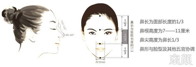 矫正鼻部偏曲,调整鼻软骨位置,形态角度,不仅使鼻的各小单位(如鼻梁