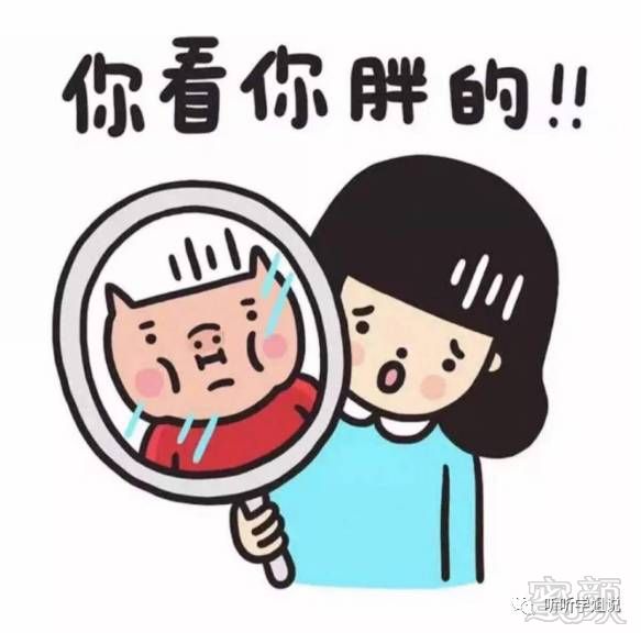 你为什么胖自己心里真的没点数吗