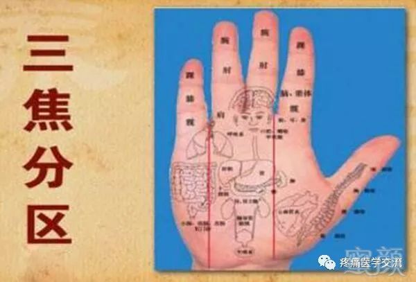 老中医提醒:你的胃是否强健,从手掌就能体现出来