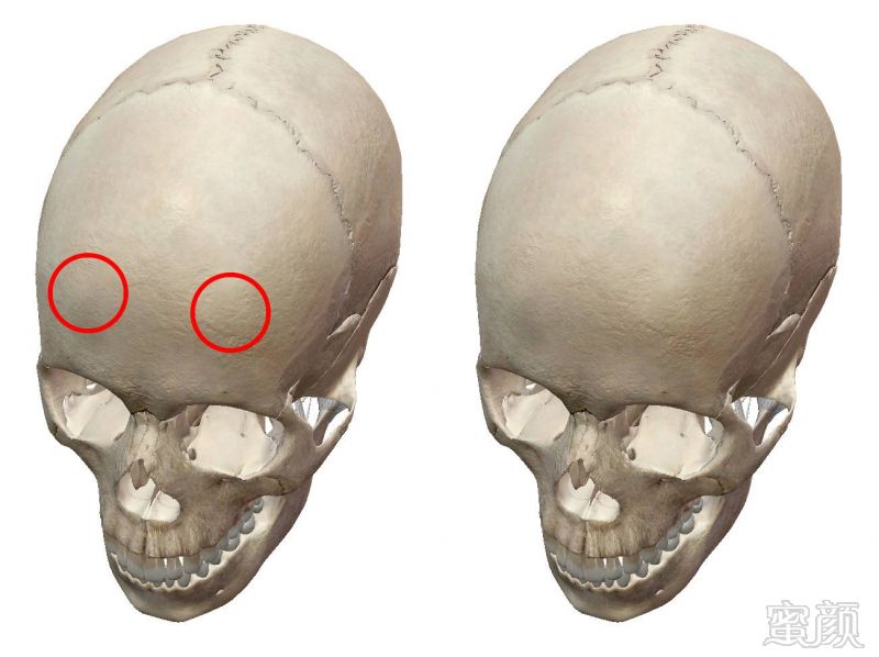上庭仍是第壹重天.    额骨有两个凸起