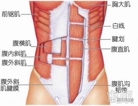 丨训练分享丨我想减肚子!