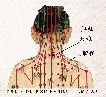 颈纹      从颈部的循行经络而言,颈纹就是颈部经络
