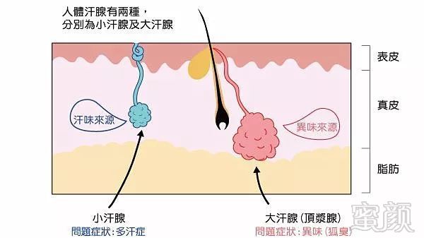 简单有效的去狐臭办法