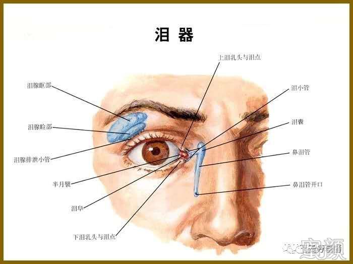 肿为特征,有眼睑皮肤变薄,弹性消失,皱纹增多,色泽改变,可并发泪腺