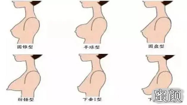 胸型指的是胸部的形状,正常的胸部大小和形状.