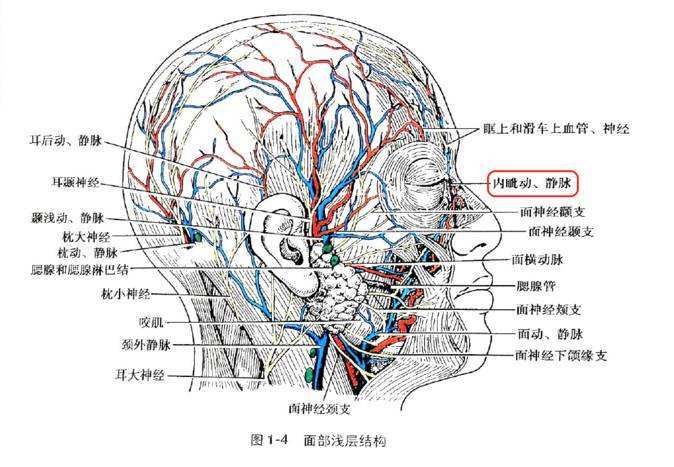 案例图片