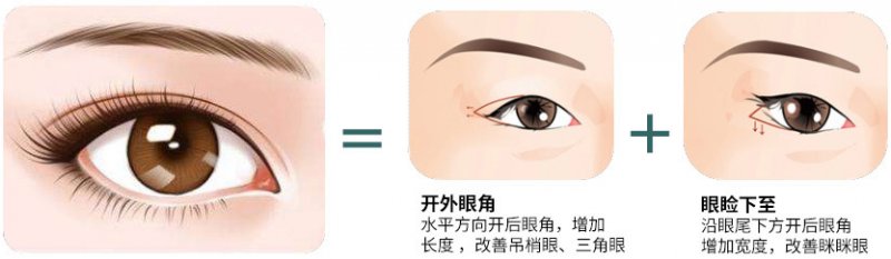 https://img.miyanlife.com/mnt/Editor/2019-02-12/5c627ef158f33.jpg