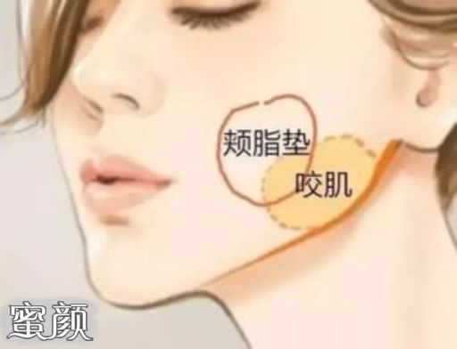 https://img.miyanlife.com/mnt/Editor/2020-09-01/5f4d7d7bd15a4.jpg