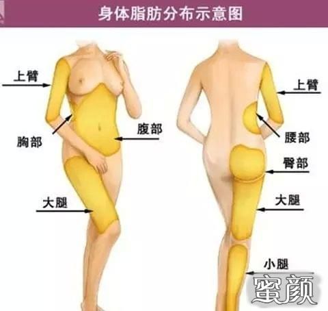https://img.miyanlife.com/mnt/Editor/2020-09-07/5f55f9cfefa82.jpg