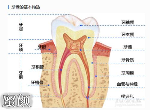 https://img.miyanlife.com/mnt/Editor/2020-09-08/5f573f25bf1e2.jpg