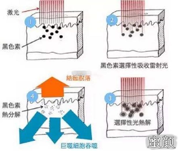 案例图片