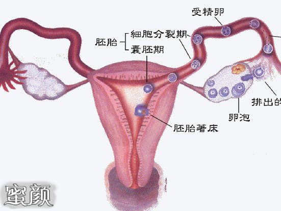https://img.miyanlife.com/mnt/Editor/2020-11-19/5fb5b143b4ab4.jpg