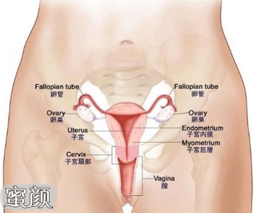 https://img.miyanlife.com/mnt/Editor/2020-11-21/5fb8d49914efb.jpg