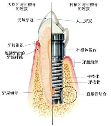 https://img.miyanlife.com/mnt/Editor/2020-11-29/5fc2fd4b4b20e.jpg