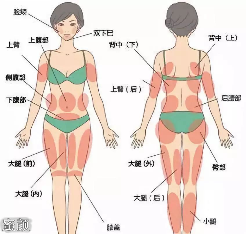 https://img.miyanlife.com/mnt/Editor/2020-12-15/5fd8be0d8e635.jpg