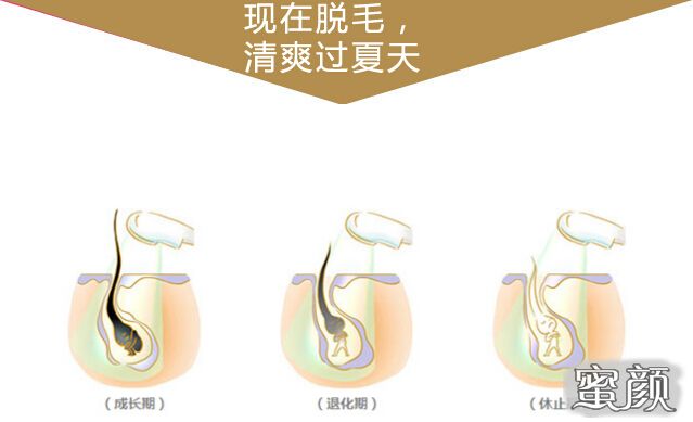 https://img.miyanlife.com/mnt/Editor/2020-12-17/5fdb092a43456.jpg