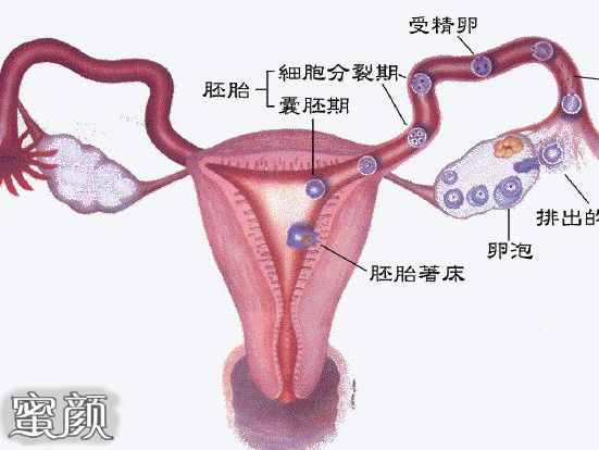 案例图片