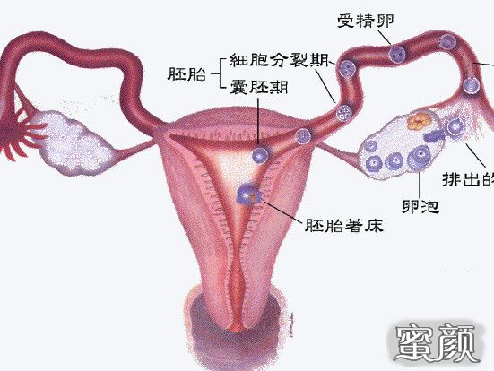 案例图片