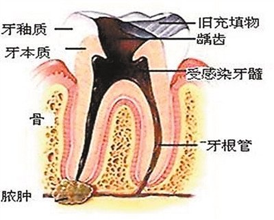 案例图片