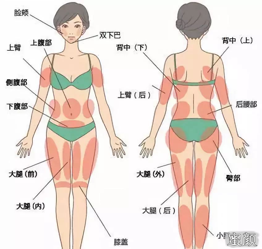 https://img.miyanlife.com/mnt/Editor/2021-01-27/60115840bb96b.jpg
