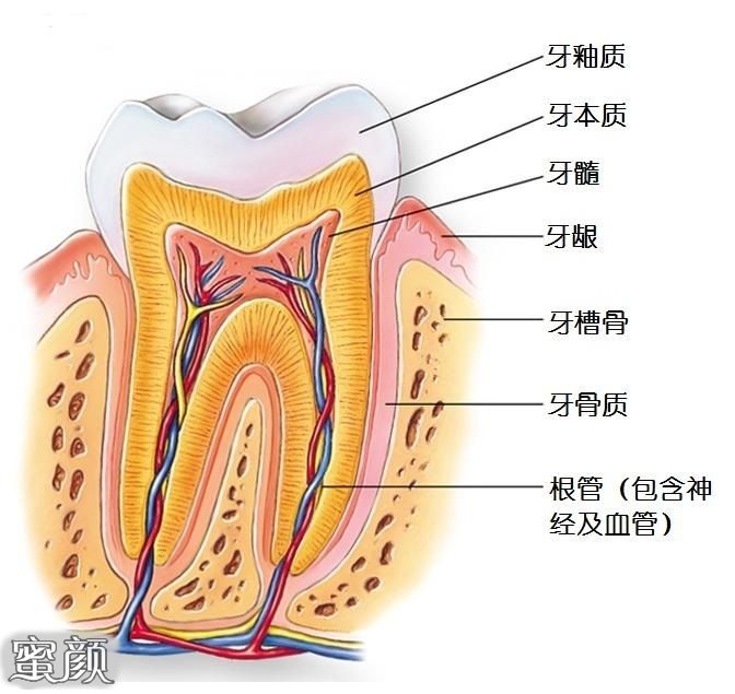 https://img.miyanlife.com/mnt/Editor/2021-02-10/6023dd498d99b.jpg