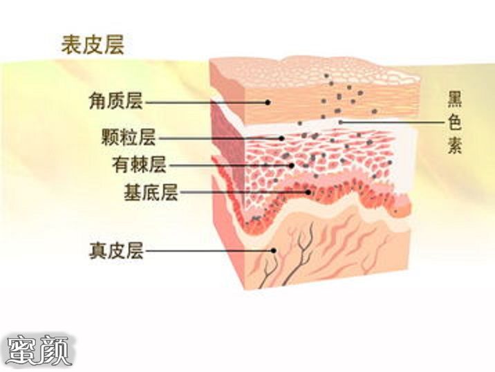 案例图片