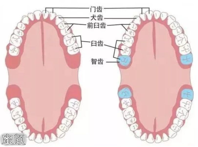 案例图片