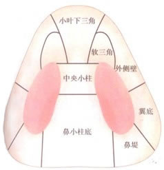 案例图片