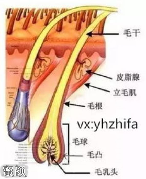 案例图片