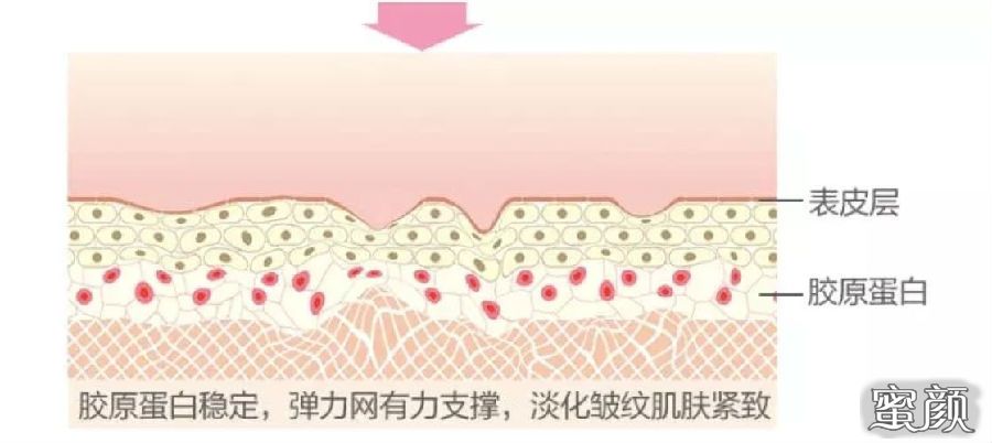 https://img.miyanlife.com/mnt/Editor/2021-09-02/6130d0a02af25.jpg