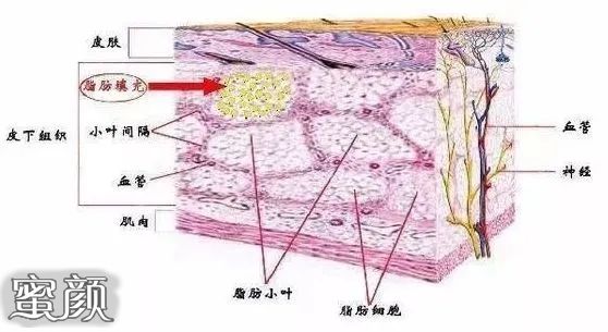 案例图片