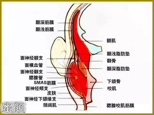 案例图片