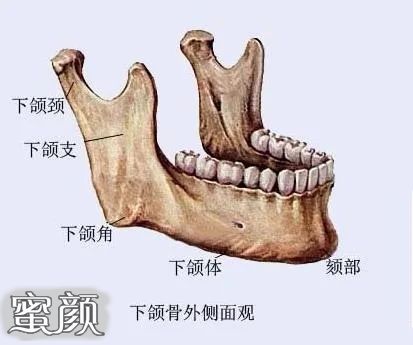 案例图片