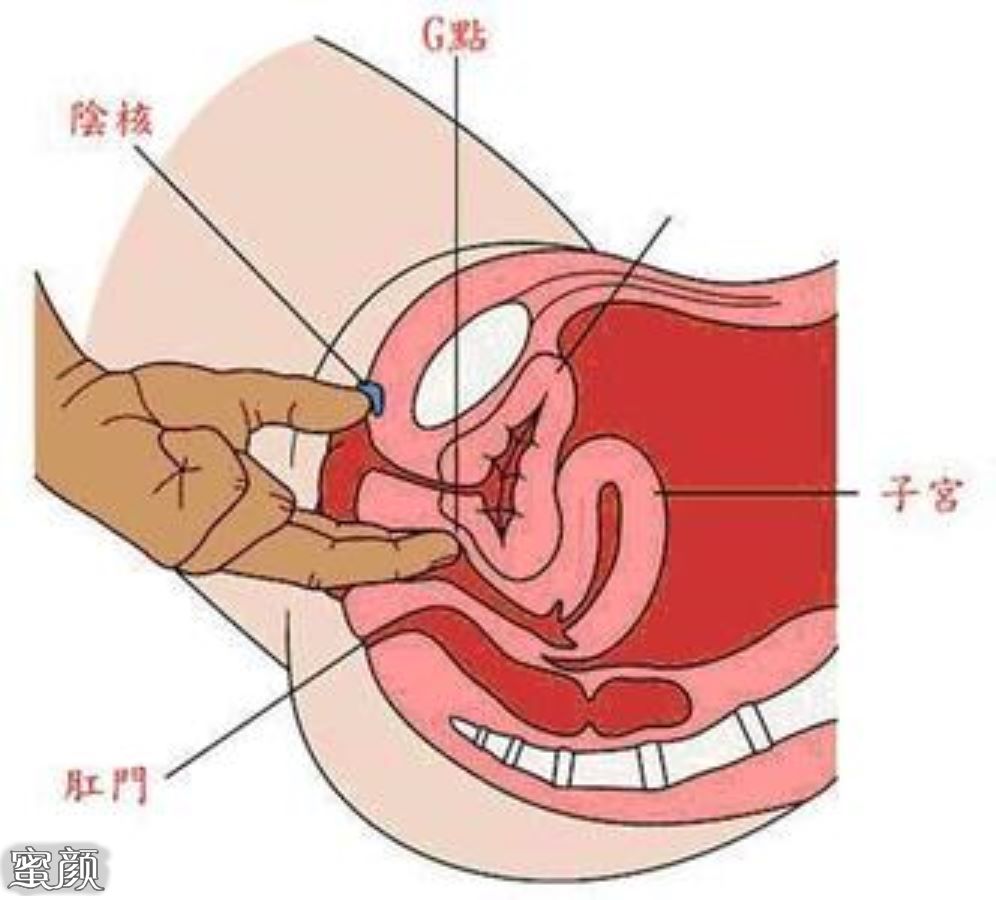 案例图片