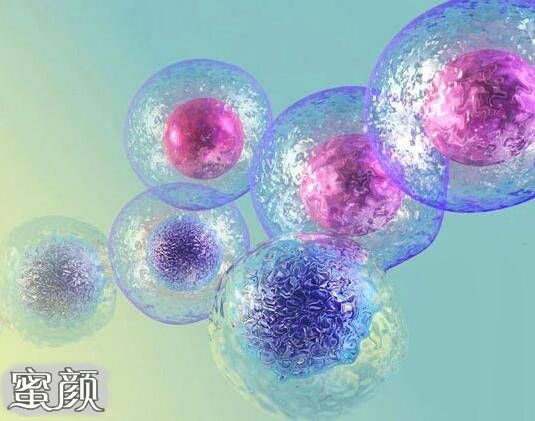 https://img.miyanlife.com/mnt/Editor/2022-06-19/62af44b7bbed5.jpg