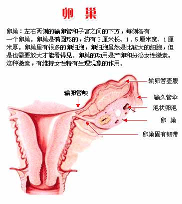 案例图片