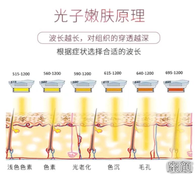 案例图片