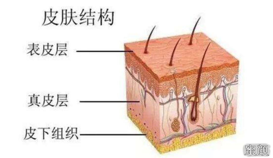 案例图片