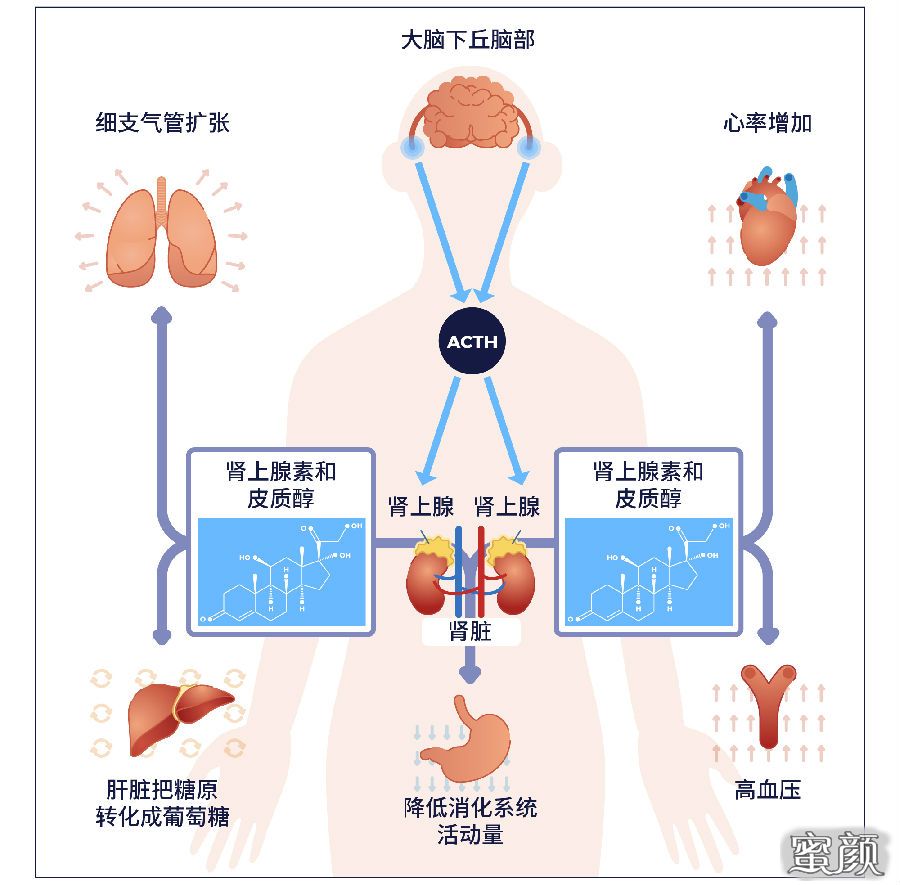 案例图片