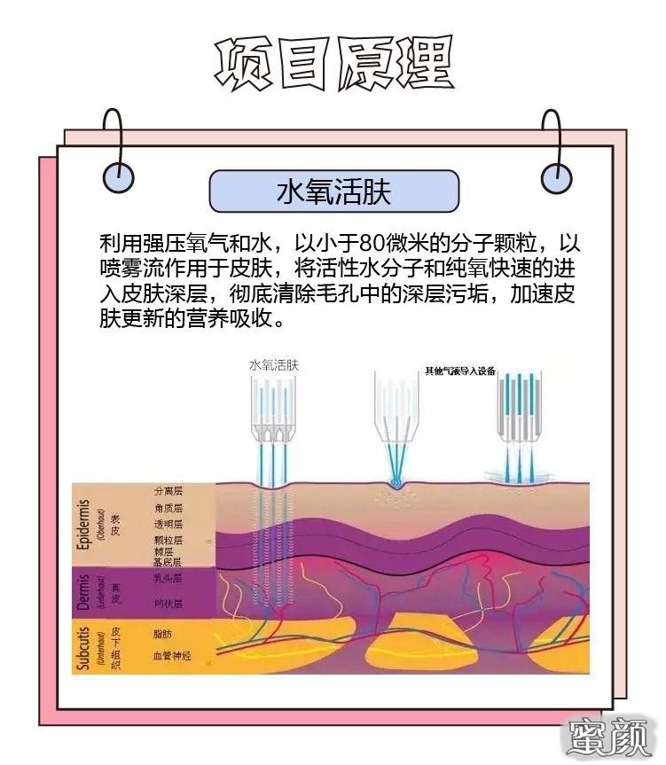 案例图片