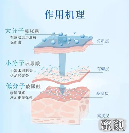 案例图片