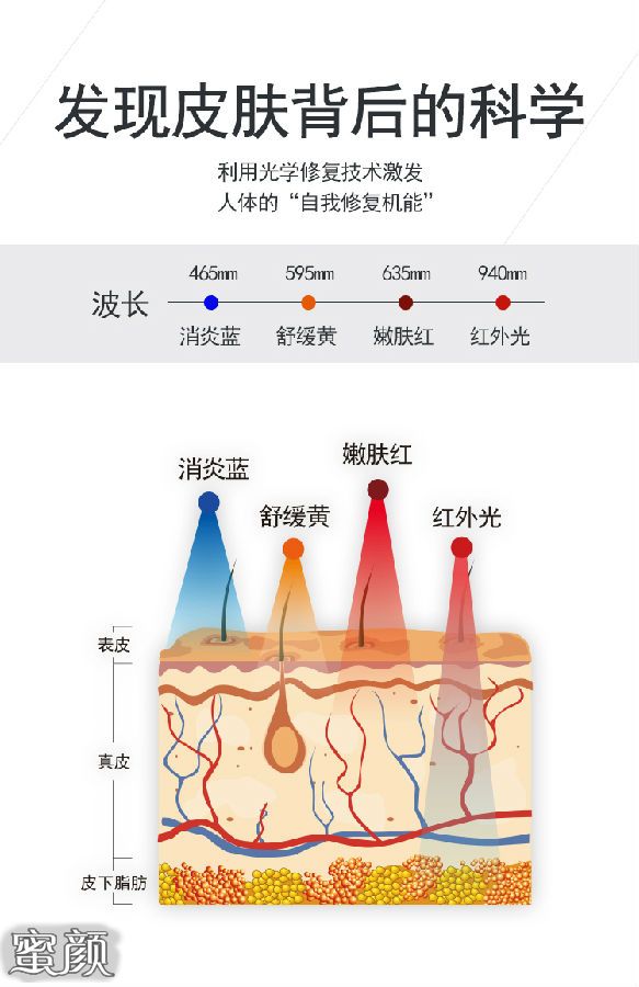 案例图片