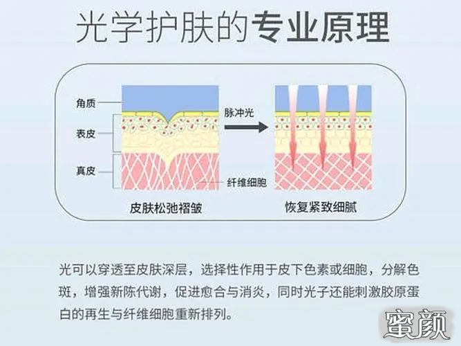 案例图片