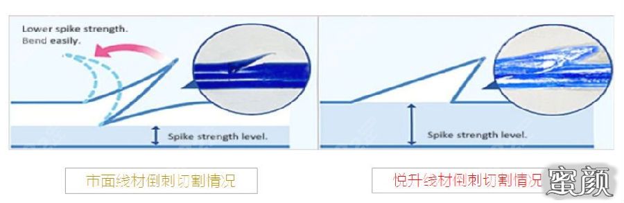 案例图片