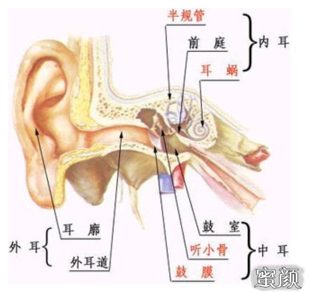 案例图片