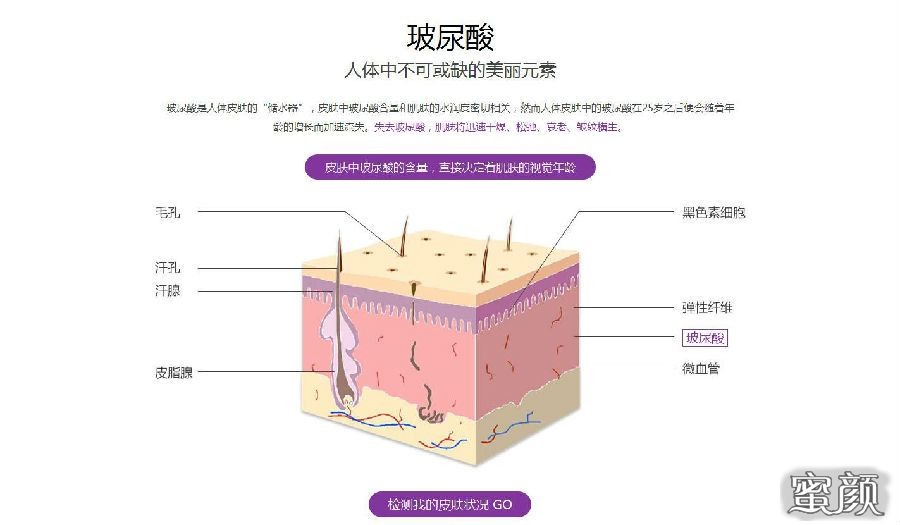 案例图片