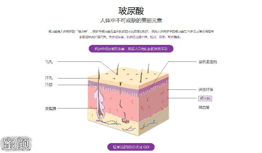 案例图片