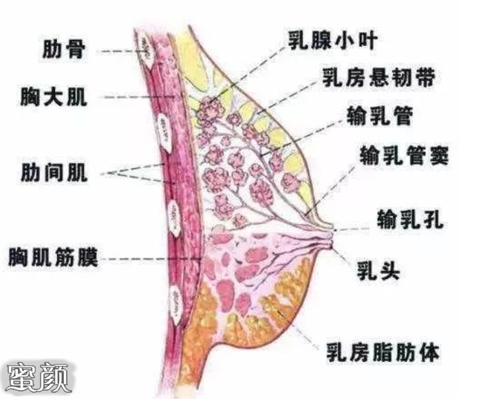 案例图片